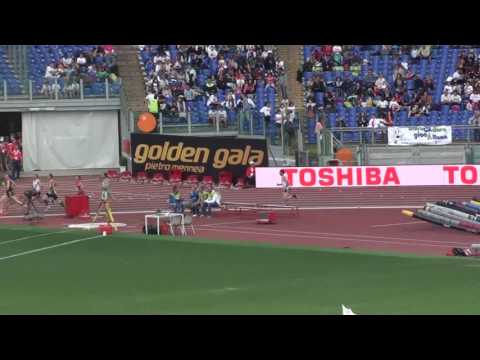 Golden Gala 2016 800m Master