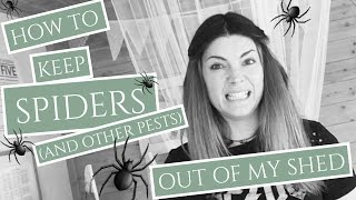 What is the Best Way to Keep Spiders & Pests Out?