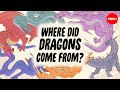 Why Do So Many Cultures Have Dragon Legends Timothy J Burbery