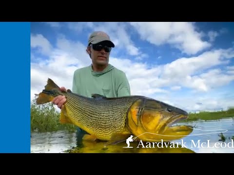 Pirá And Suindá Lodge Golden Dorado Combination
