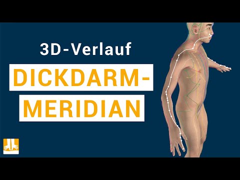 Der Dickdarmmeridian - 3D-Verlauf von Punkt zu Punkt