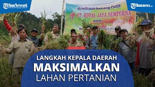 Apa yang Bisa Dilakukan Kepala Daerah di Solo Raya untuk Maksimalkan Sektor Pertanian? Ini Kata Ahli