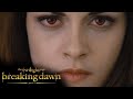 Race Through The Forest | Twilight Saga: Breaking Dawn - Part 2