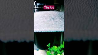 My Betta Fish Bubble nest looks like diamonds #viral #trending #fish #bettafish #viralvideos #shorts