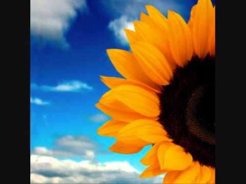 download lagu mp3 mp4 Photosynthesis Rap Lyrics, download lagu Photosynthesis Rap Lyrics gratis, unduh video klip Photosynthesis Rap Lyrics