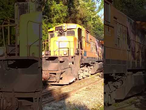 Trem vazio liderado pela 8535 e sua pintura laranja em Cana Verde MG  #ferrovia #train
