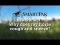 Ask the Vet - Why does my horse cough and sneeze?