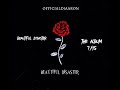 Beautiful Disaster