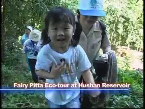 Fairy Pitta and Hushan Reservoir Construction Project