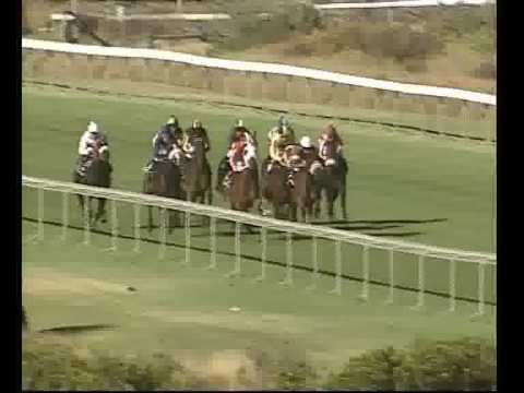 Rebel King - Cape Flying Championships, 24 Jan '09