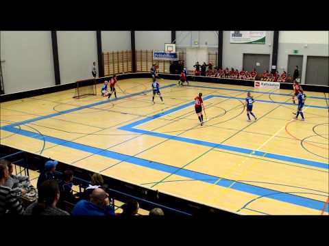 Maalikooste LeBa-96 C-tytöt SM-sarja Pirkkala 7.2.2015