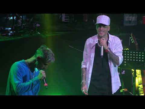 Nestor En Bloque - Hasta Cuándo ❌ Guillermo Bonetto, Los Cafres (Gran Rex In Concert)