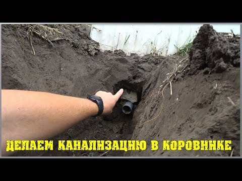Канализация коровника. Как сделать канализацию в коровнике. / Семья в деревне