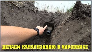 Канализация коровника. Как сделать канализацию в коровнике. / Семья в деревне
