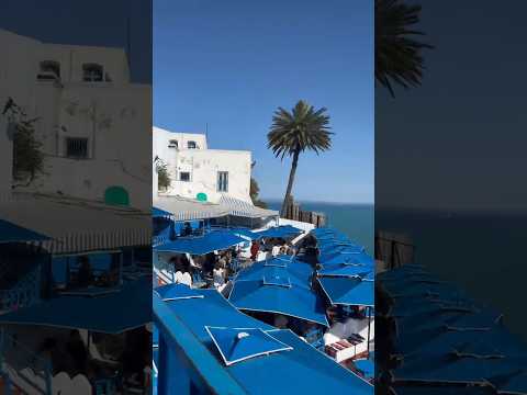 Sidi Bou Said #sidibousaid #tunisia #tunisian #tourism #scenicviews #carthage