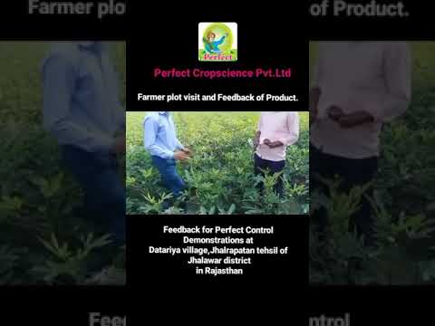 Perfect Control Demonstration and Result