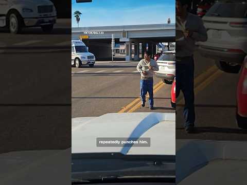 Teens say ICE agents assaulted them as they were on way to enlist in US Marines