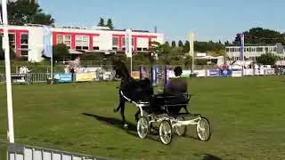 Dylano Nederlands Kampioen 2019 (2)