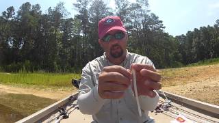 Put a hook in a worm the right way