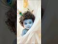 Krishna Janmashtami Status Krishna Janmashtami Ke Gana Happy Krishna Janmashtami Janmashtami
