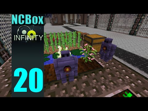 NCBox-Infinity: Epizoda 20 - Zahrádka s Golemy