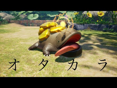 ピクミン４　vsタカラサンショウ初見