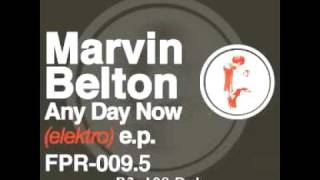ANY DAY NOW [108 DUB] - Marvin Belton - Ferrispark Records