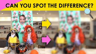 Jenna Marbles Quiz | Can you spot the difference?