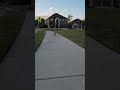 Orange Tabby Comes Running