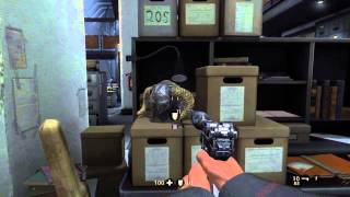 Video 7