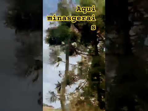 minasgerais zona da mata # indo cidade do interior #