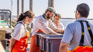 Inside RWU’s Shellfish Hatchery: Fueling Rhode Island’s Blue Economy