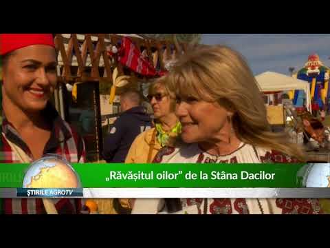 „Ravasitul Oilor” de la Stana Dacilor 16 10 2019