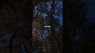 Download lagu PELAN PELAN SAJA||story wa mp3