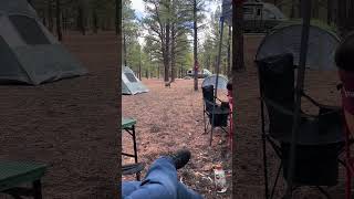 Video preview image #1 Mutt Puppy For Sale in Chandler, AZ, USA