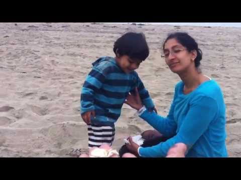 Ansh beach crab Jul 27,'13