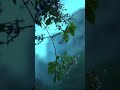 Romantic Rain Zara Zara Behekta Hai Ringtone