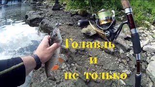 Ловля голавля на воблеры в подмосковье