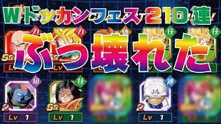 Wドッカンフェス２１０連！確率がぶっ壊れてた【ドッカンバトル７周年】