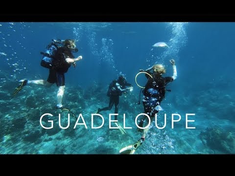 download lagu mp3 mp4 Jacques Cousteau Guadeloupe, download lagu Jacques Cousteau Guadeloupe gratis, unduh video klip Jacques Cousteau Guadeloupe