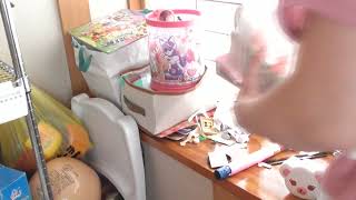 毎日１０時にアップ☆汚部屋脱出41日目：和室出窓片付け★片付けの片付けのやる気アップにご視聴ください☆
