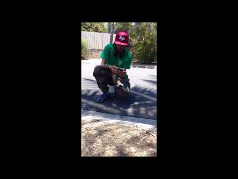 DJ NALASH X Ariane ft Christian K ( Djawa stluy & Ryssa NGK )