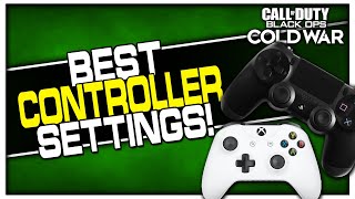 Best Controller Settings in Cold War! (Improve your Aim!)