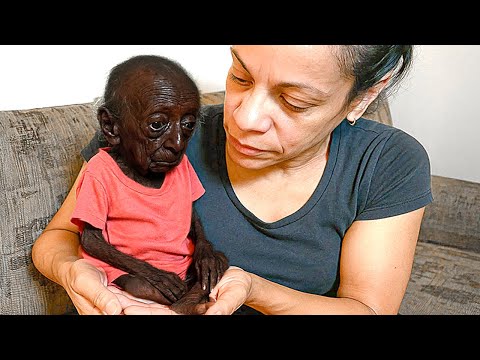 Smallest People In The World