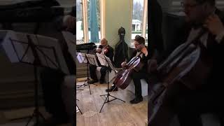 String Quartet performs Toxic by Britney