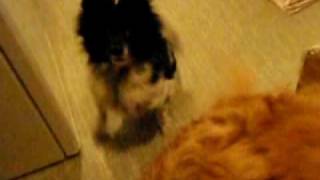 Video01