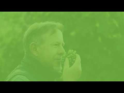 Did you know the impact of faulty wines on the environment?