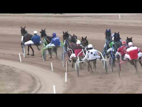 2017.03.04. 7. futam - TAVASZI HENDIKEP