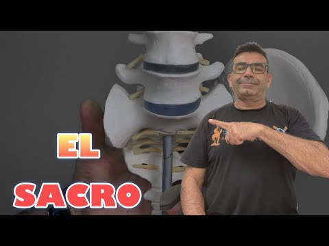 Cómo movilizar el SACRO.