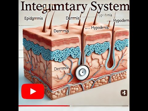 A&P 1 Lecture: Integument System Part 1